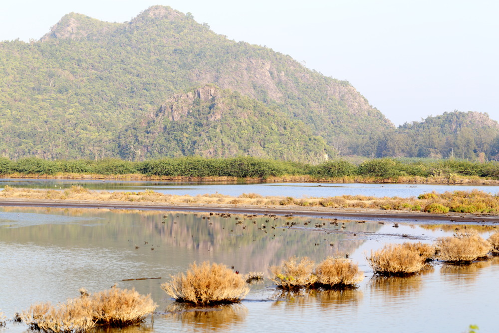 Lokation: Thailand | Prachuap Khirikhan | Kui Buri | Ban Khao Daeng Kategorien: Lagune, Datum: 10.02.2016