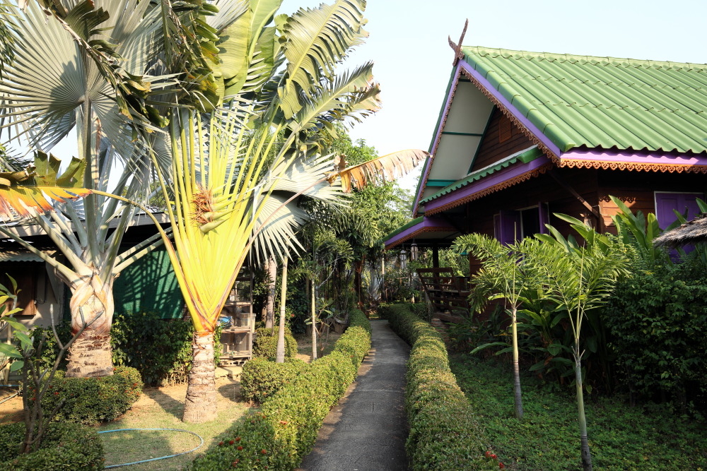 Lokation: Thailand | Sukhothai | Ban Dan Lan Hoi | Ban Chetuphon Kategorien: Garten, Datum: 15.02.2016