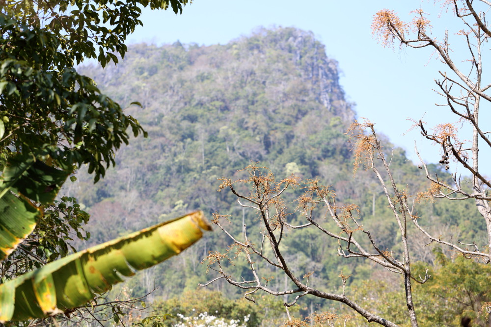 Lokation: Thailand | Chiang Mai | Chiang Dao | Ban Na Lao Mai Kategorien: Berge, Datum: 17.02.2016