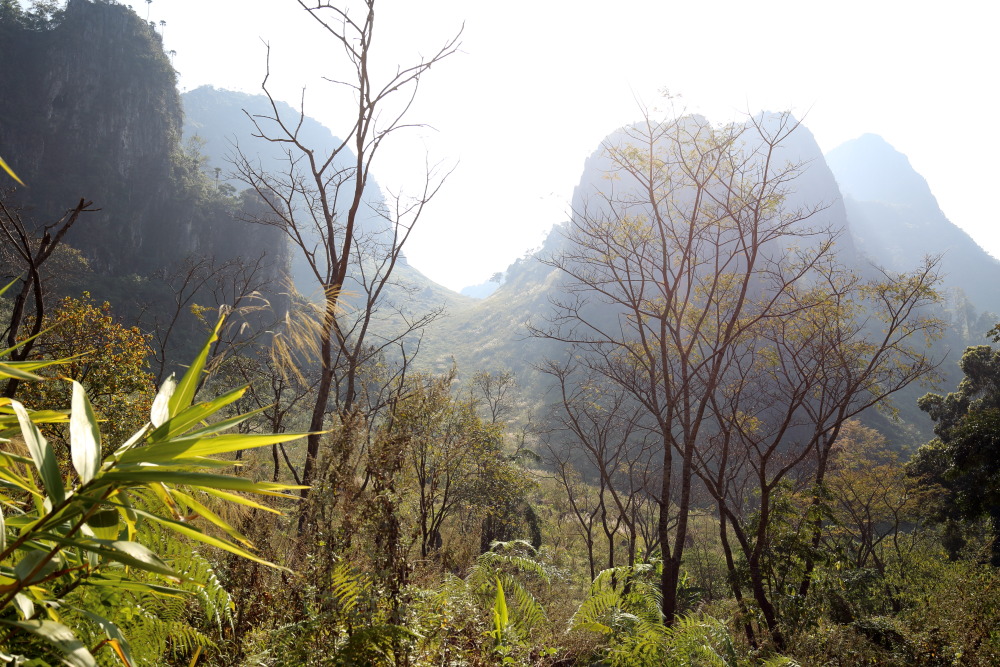 Lokation: Thailand | Chiang Mai | Chiang Dao | Ban Na Lao Mai Kategorien: Berge, Datum: 17.02.2016