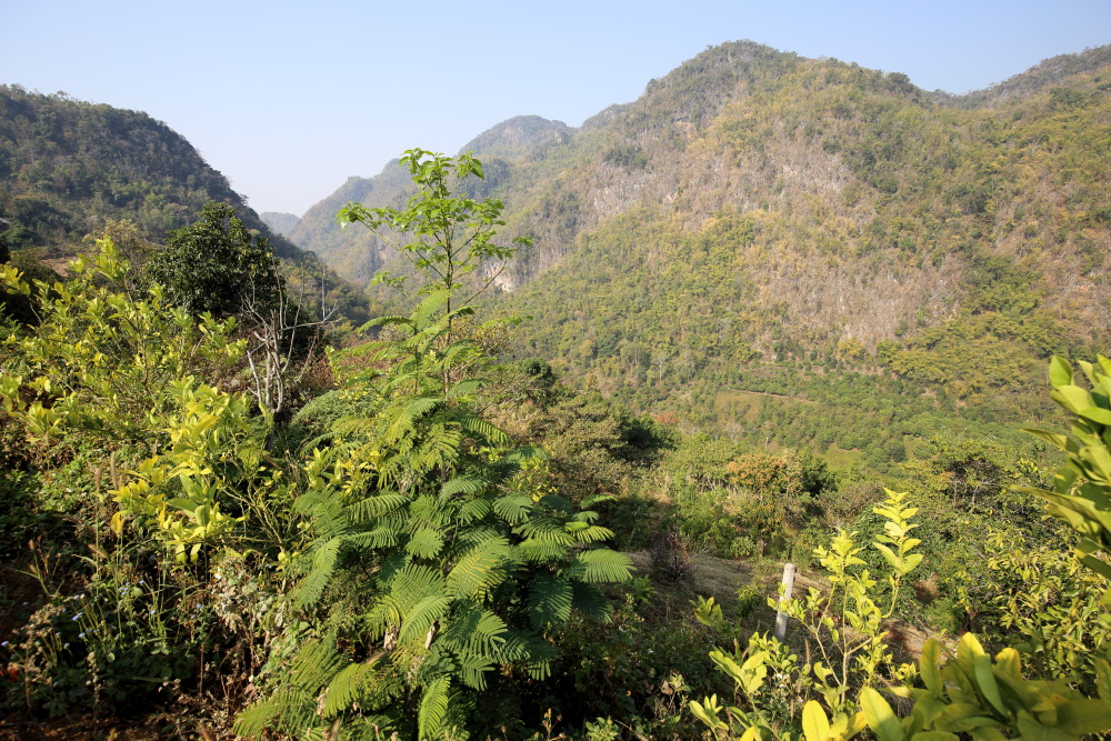 Lokation: Thailand | Chiang Mai | Ban Pha Daeng Kategorien: Berge, Datum: 18.02.2016