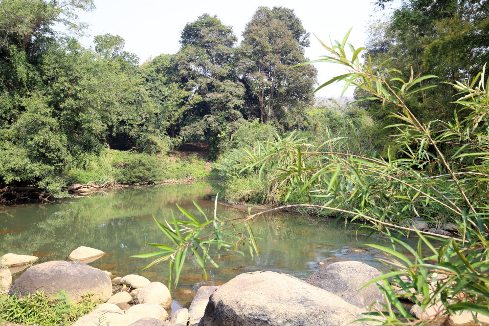 Lokation: Thailand | Chiang Mai | Chiang Dao | Ban Kaeng Pan Tao Kategorien: Fluss, Datum: 19.02.2016