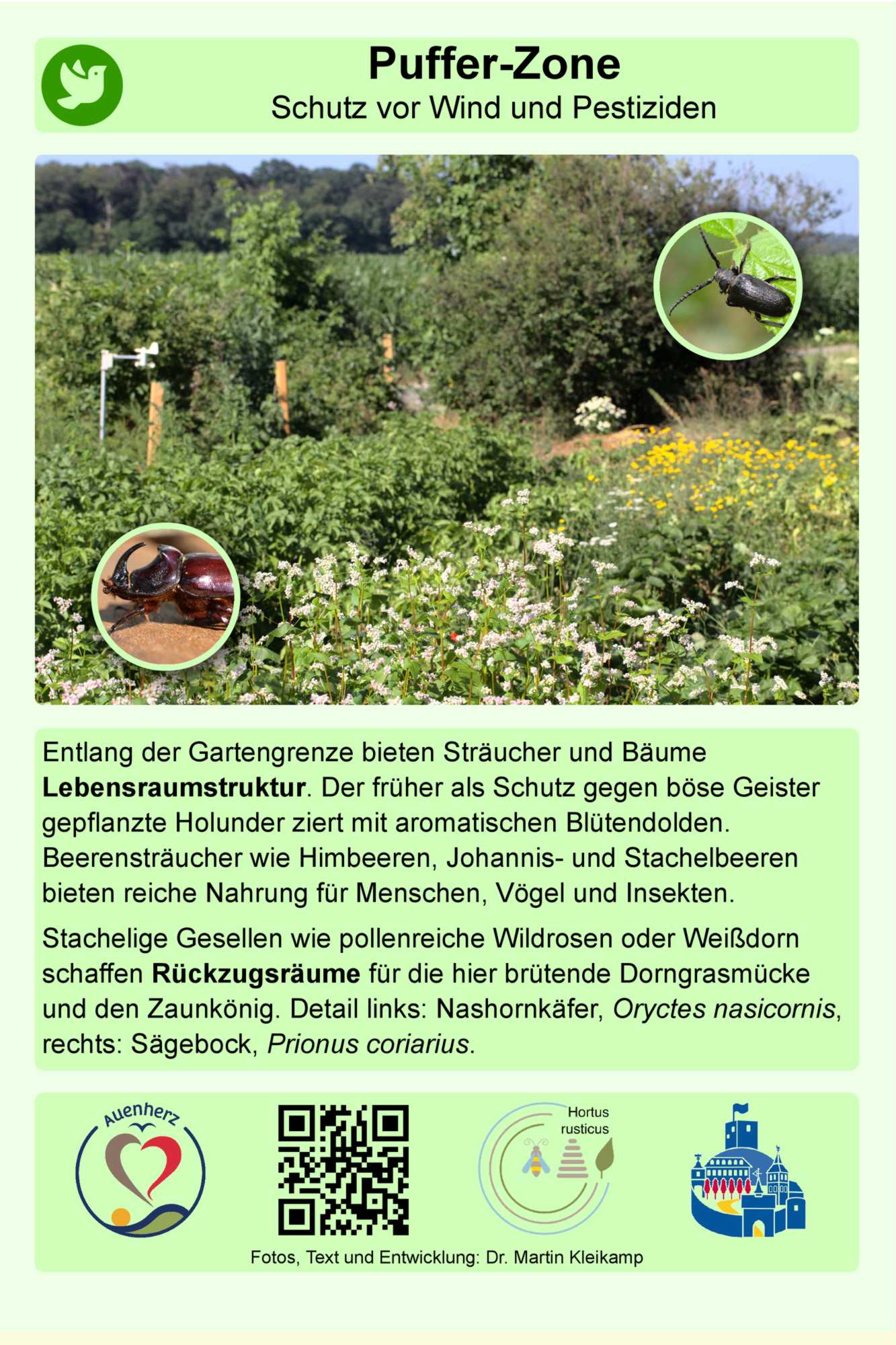 Lokation: Deutschland | Nordrhein-Westfalen | Heinsberg | Wassenberg Kategorien: Tafel, Hortus rusticus, Datum: 04.05.2021