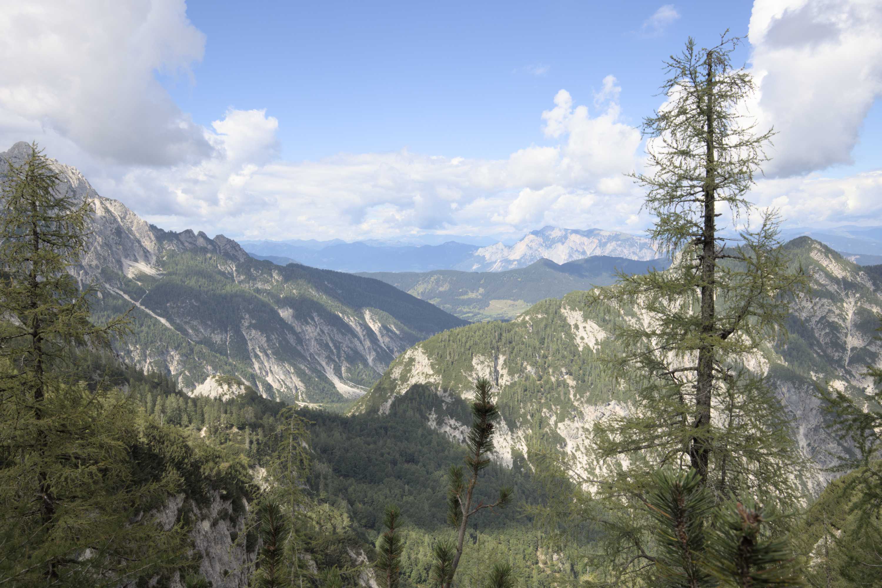 Lokation: Slowenien | Westslowenien | Oberkrain | Kranjska Gora Kategorien: Berge, Datum: 04.09.2022