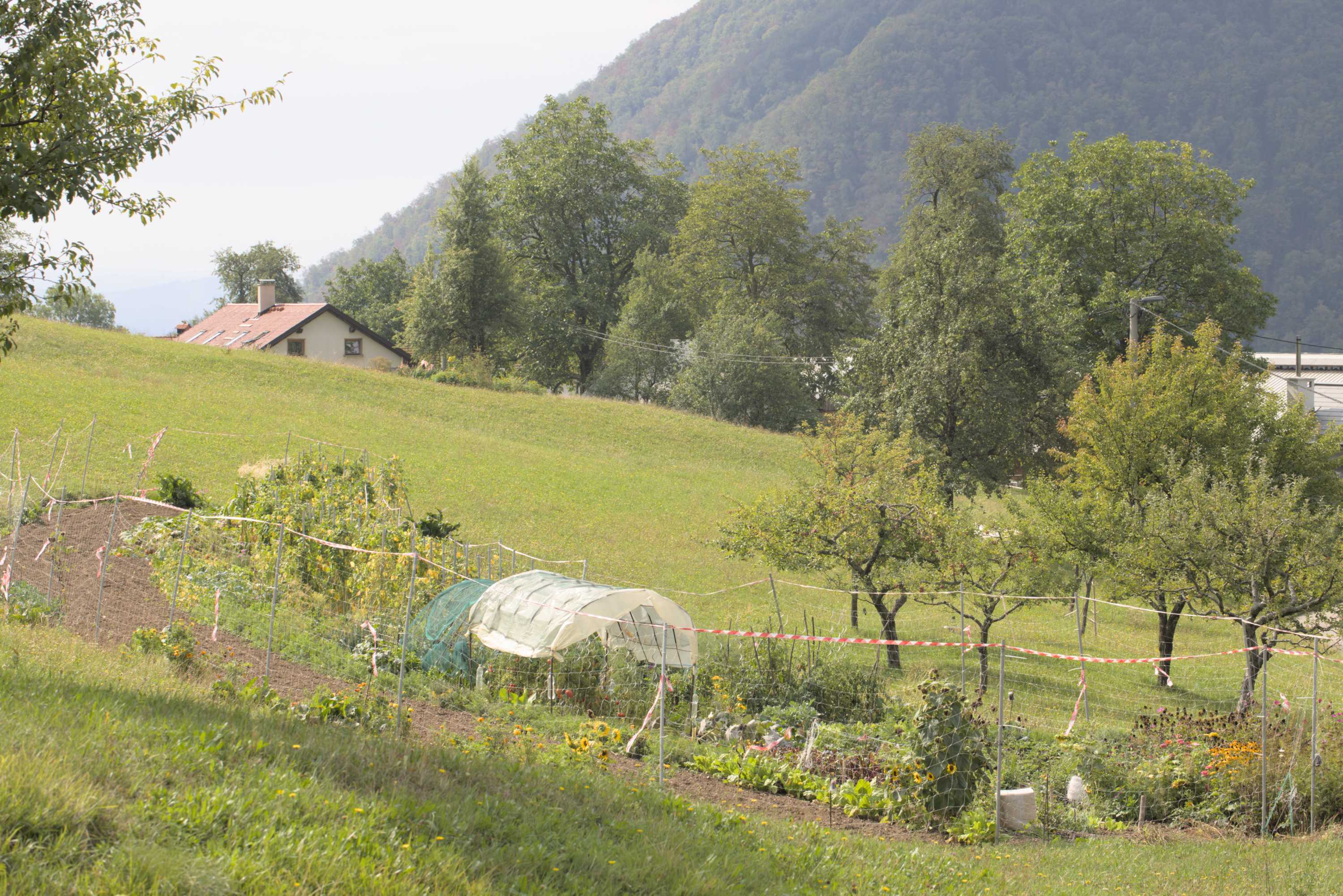 Lokation: Slowenien | Westslowenien | Gorica-Gebiet | Tolmin Kategorien: Permakultur, Datum: 07.09.2022