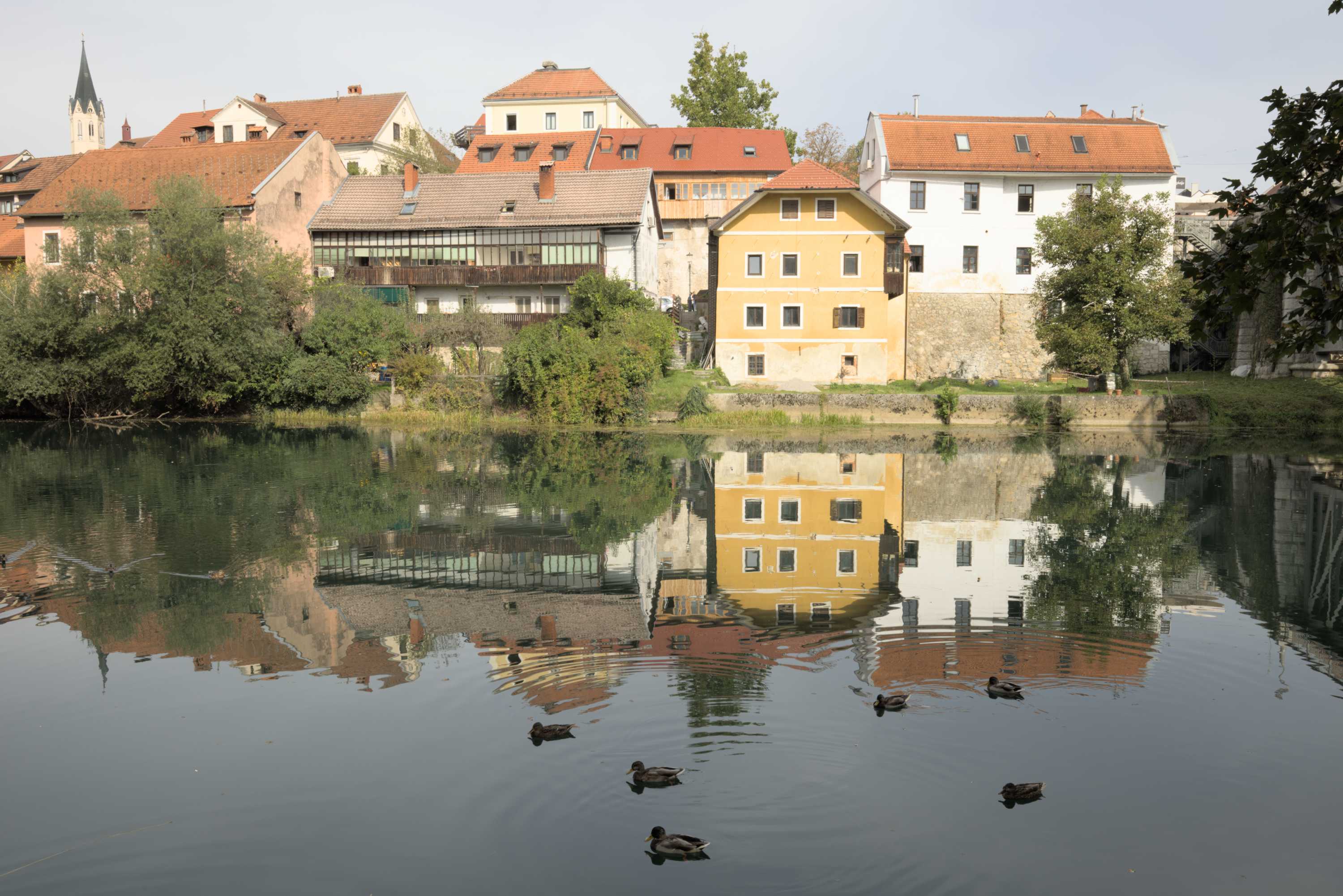 Lokation: Slowenien | Ostslowenien | Südostslowenien | Novo mesto Kategorien: Stadt, Fluss, Datum: 14.09.2022