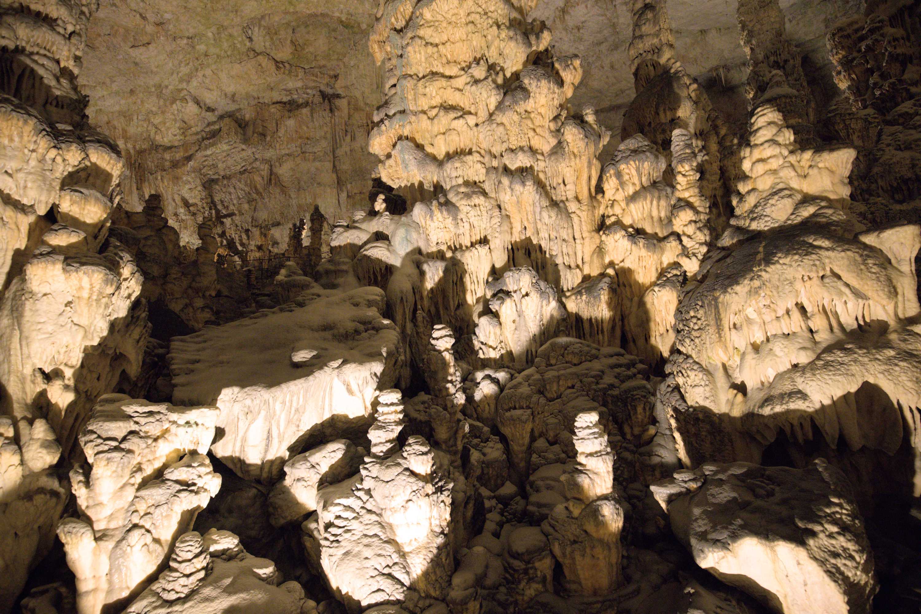 Lokation: Slowenien | Ostslowenien | Küstenland-Innerkrain | Postojna Kategorien: Höhle, Datum: 16.09.2022