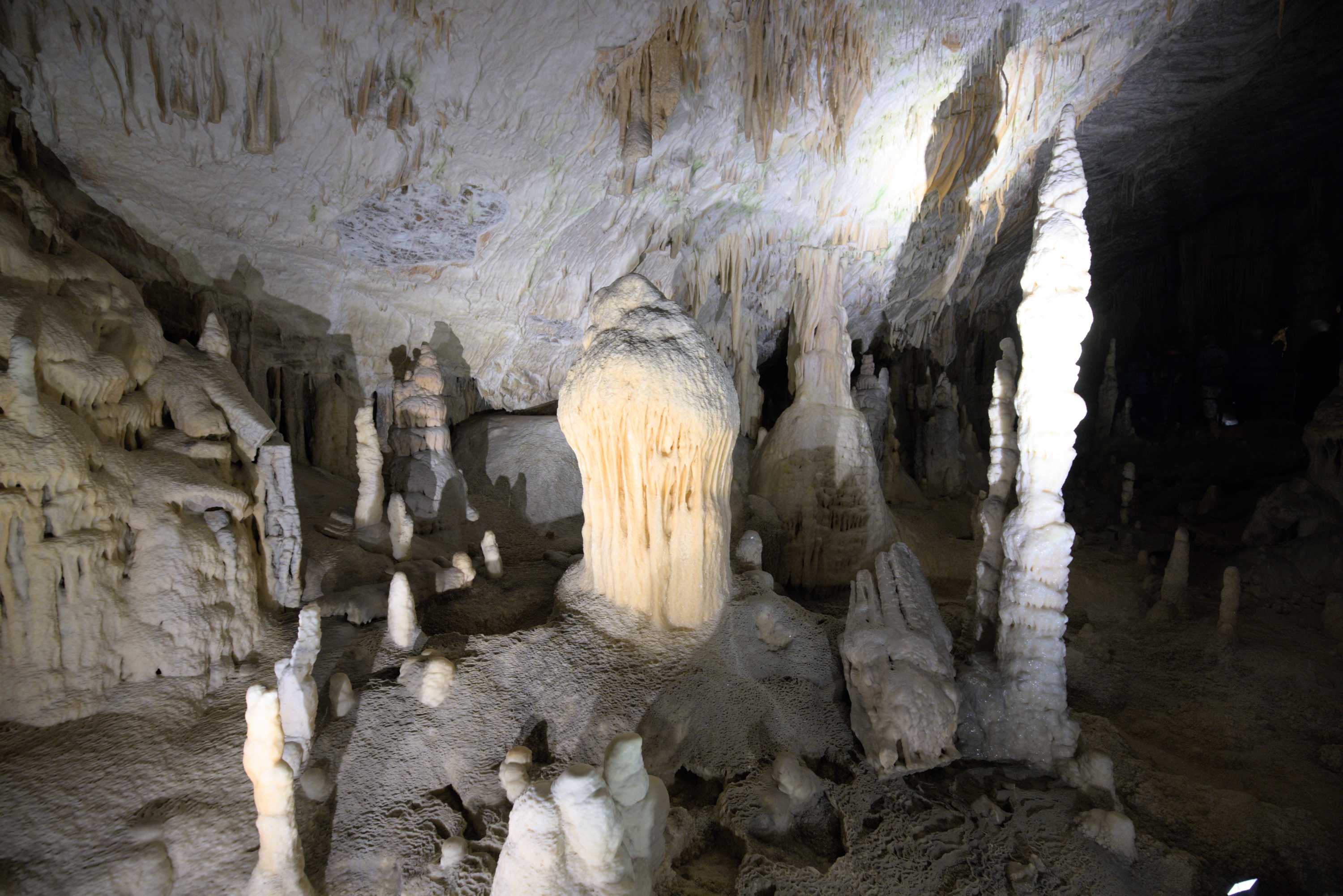 Lokation: Slowenien | Ostslowenien | Küstenland-Innerkrain | Postojna Kategorien: Höhle, Datum: 16.09.2022