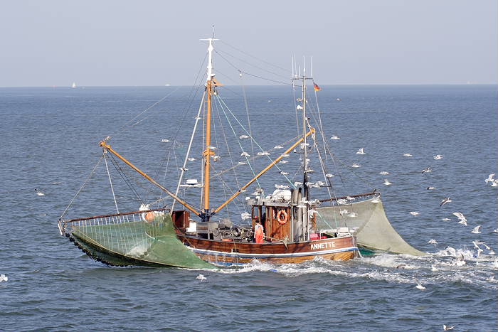 Lokation: Ostfriesland, Norderney Kategorien: Boote, Datum: 12.07.2005