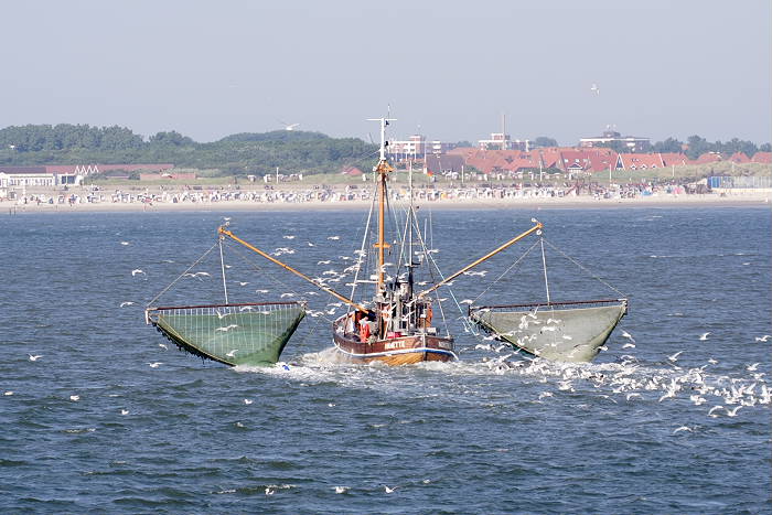 Lokation: Ostfriesland, Norderney Kategorien: Boote, Datum: 12.07.2005