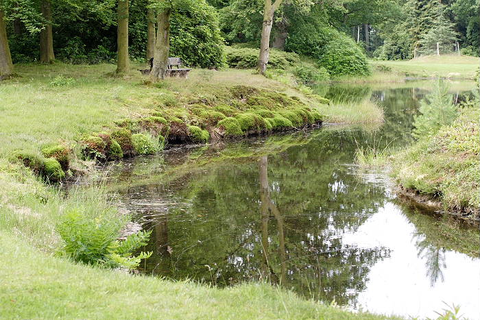 Lokation: Ostfriesland, Lütesburg Kategorien: Garten, Datum: 13.07.2005