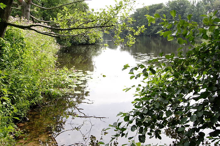 Lokation: Niedersachsen, Borkener Paradies Kategorien: Fluss, Datum: 24.07.2005
