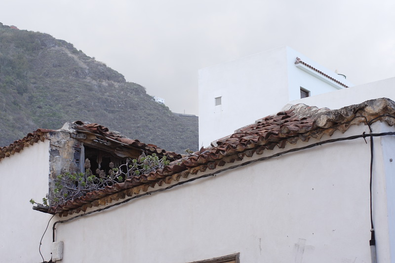 Lokation: Spanien | Canarias | Casa Amarilla | Garachico Kategorien: Datum: 03.12.2007
