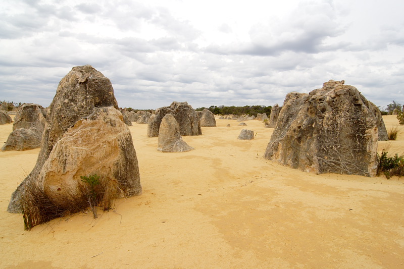 Pinnacles, Lokation: Australien | Western Australia | Cervantes | Cervantes Kategorien: Datum: 22.10.2008