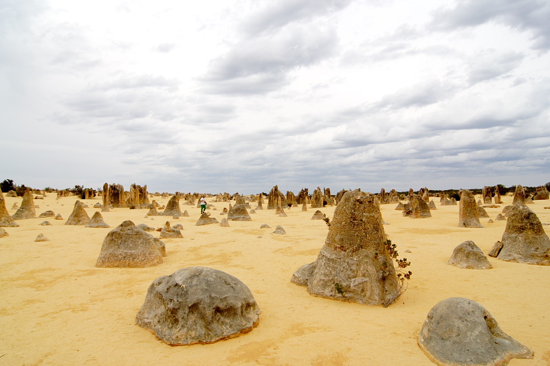 Pinnacles, Lokation: Australien | Western Australia | Cervantes | Cervantes Kategorien: Datum: 22.10.2008