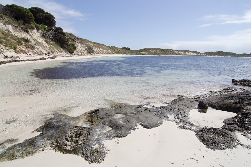 Lokation: Australien | Rottnest Island Kategorien: Datum: 25.10.2008