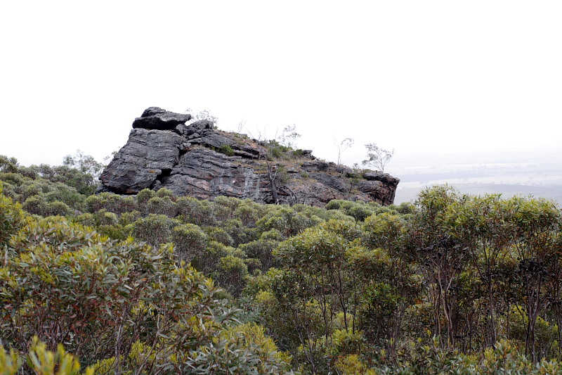 Lokation: Australien | Western Australia | Woogenellup | Woogenellup Kategorien: Datum: 28.10.2008