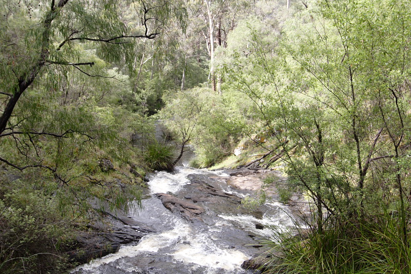 Lokation: Australien | Western Australia | Pemberton | Pemberton 14.67 Km West Pemberton Kategorien: Datum: 30.10.2008