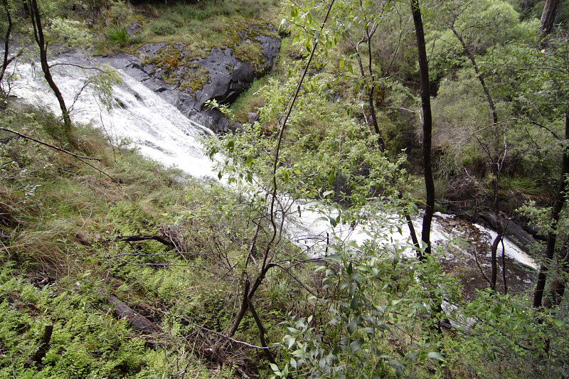 Lokation: Australien | Western Australia | Pemberton | Pemberton 14.68 Km West Pemberton Kategorien: Datum: 30.10.2008