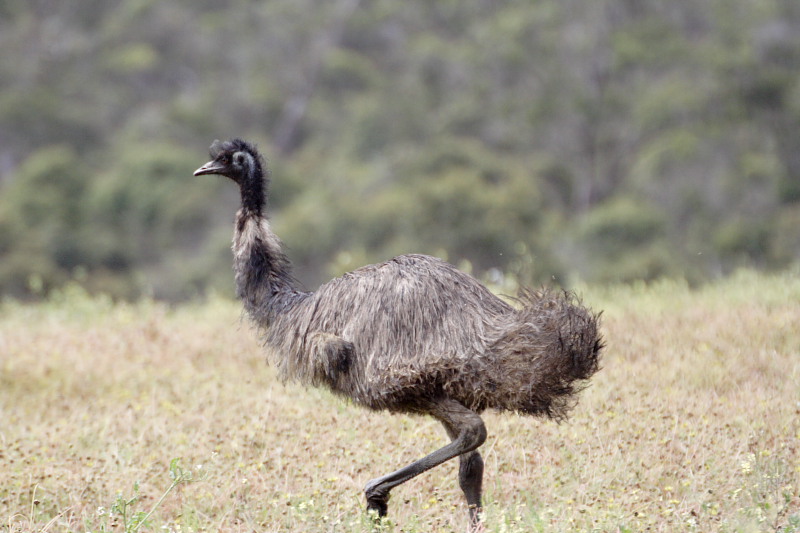 Kategorien: Datum: 30.10.2008