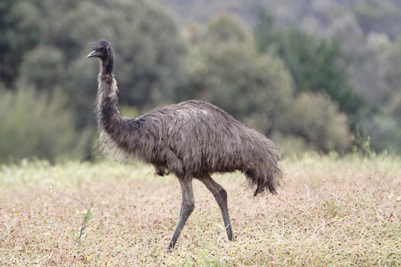 Kategorien: Datum: 30.10.2008