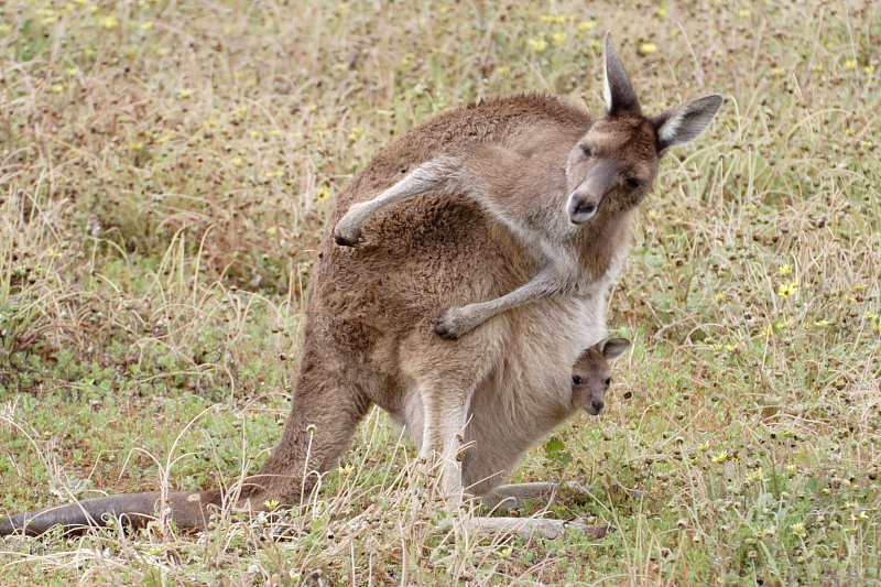 Kategorien: Datum: 30.10.2008