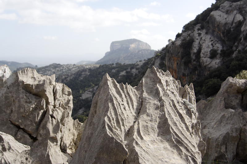 Lokation: Spanien | Baleares | Mancor De La Vall | Fornalutx Kategorien: Datum: 25.03.2009