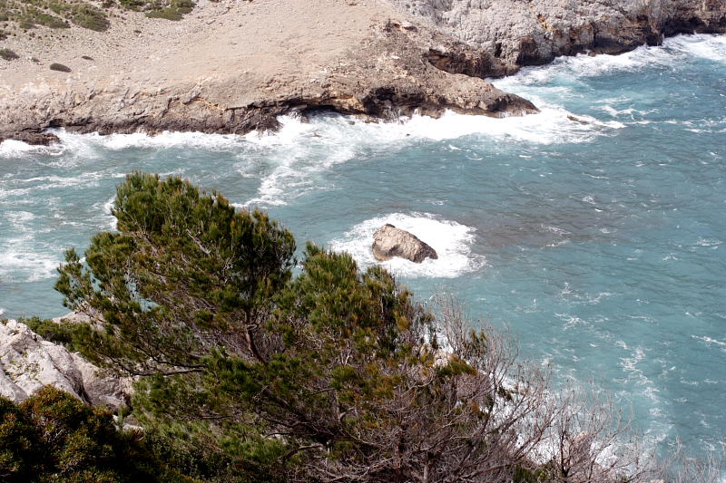 Lokation: Spanien | Baleares | Bon Aire | Formentor Kategorien: Datum: 29.03.2009