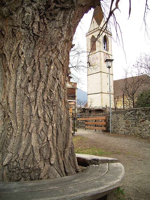 Lokation: Südtirol, Schlurns Kategorien: Kirche, Baum, Datum: 29.03.2005
