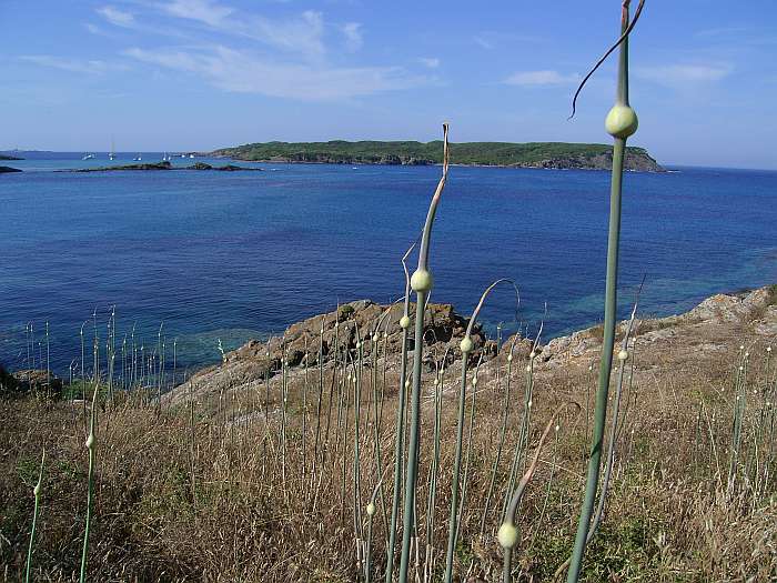 Lokation: Menorca Kategorien: Landschaft, Meer, Datum: 23.06.2004