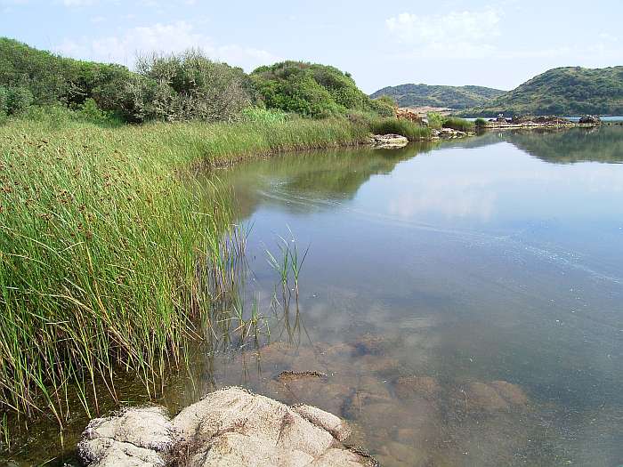 Lokation: Menorca Kategorien: See, Datum: 24.06.2004