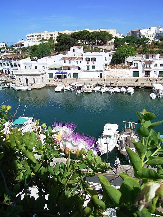 Lokation: Menorca Kategorien: Habitus, Hafen, Datum: 26.06.2004
