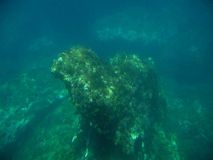 Lokation: Menorca Kategorien: Unterwasser, Datum: 28.06.2004