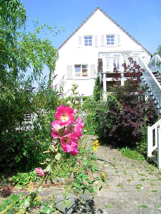 Lokation: Zuhause Kategorien: Garten, Haus, Datum: 24.07.2004