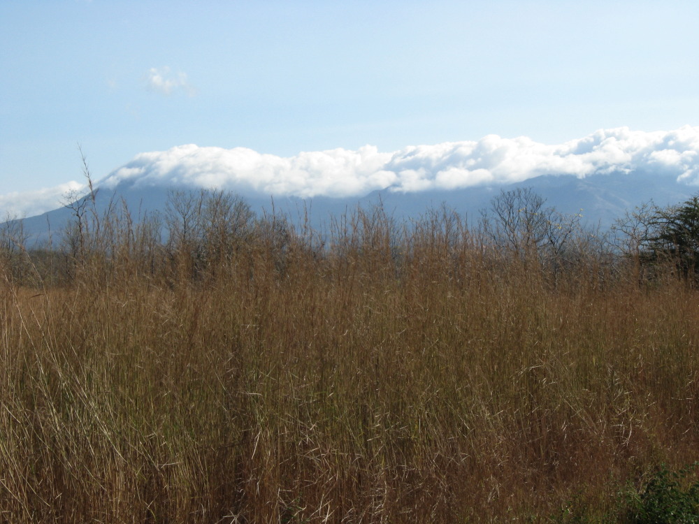 Lokation: Costa Rica | Guanacaste | Santa Rosa | Kategorien: Berge, Datum: 10.02.2010