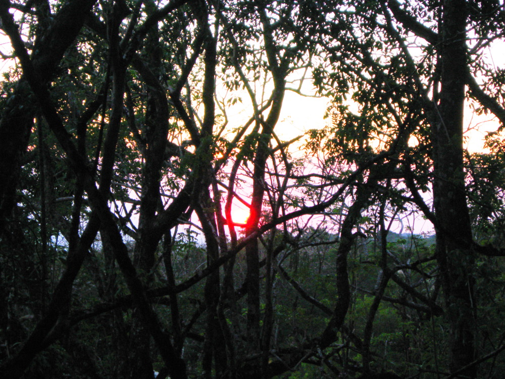 Lokation: Costa Rica | Guanacaste | Tanques | Kategorien: Sonnenauf-,untergang, Datum: 10.02.2010