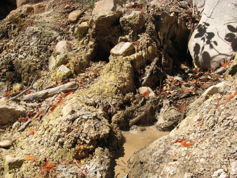 Lokation: Costa Rica | Guanacaste | Tanques | Kategorien: Geologie, Datum: 11.02.2010