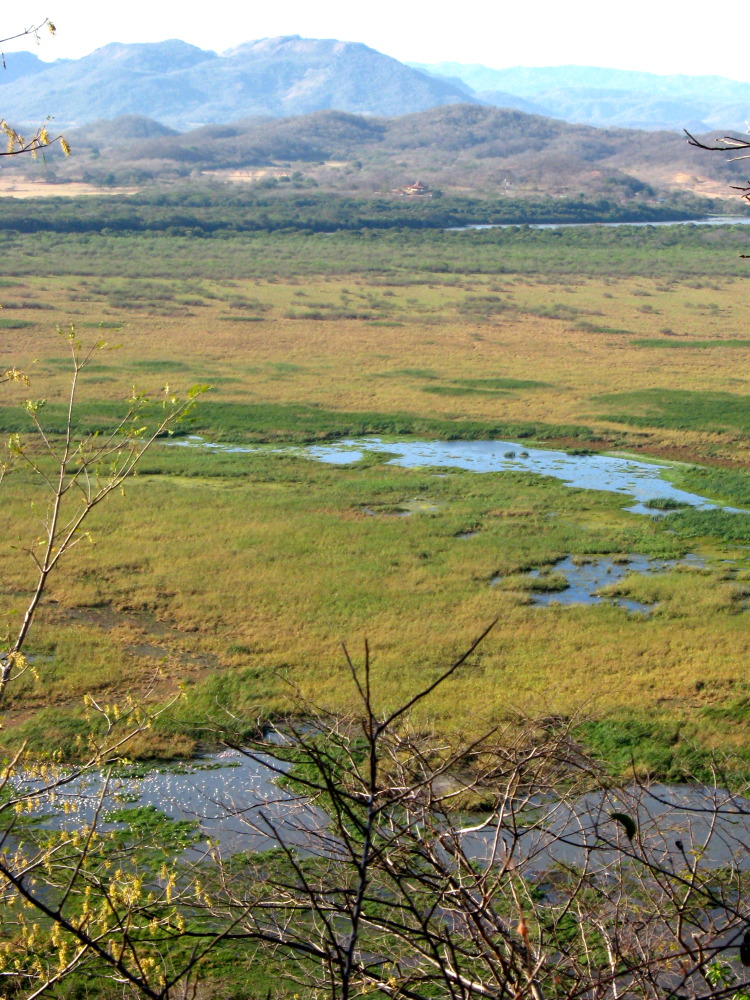 Lokation: Costa Rica | Guanacaste | Palo Verde | Kategorien: Landschaft, Datum: 15.02.2010