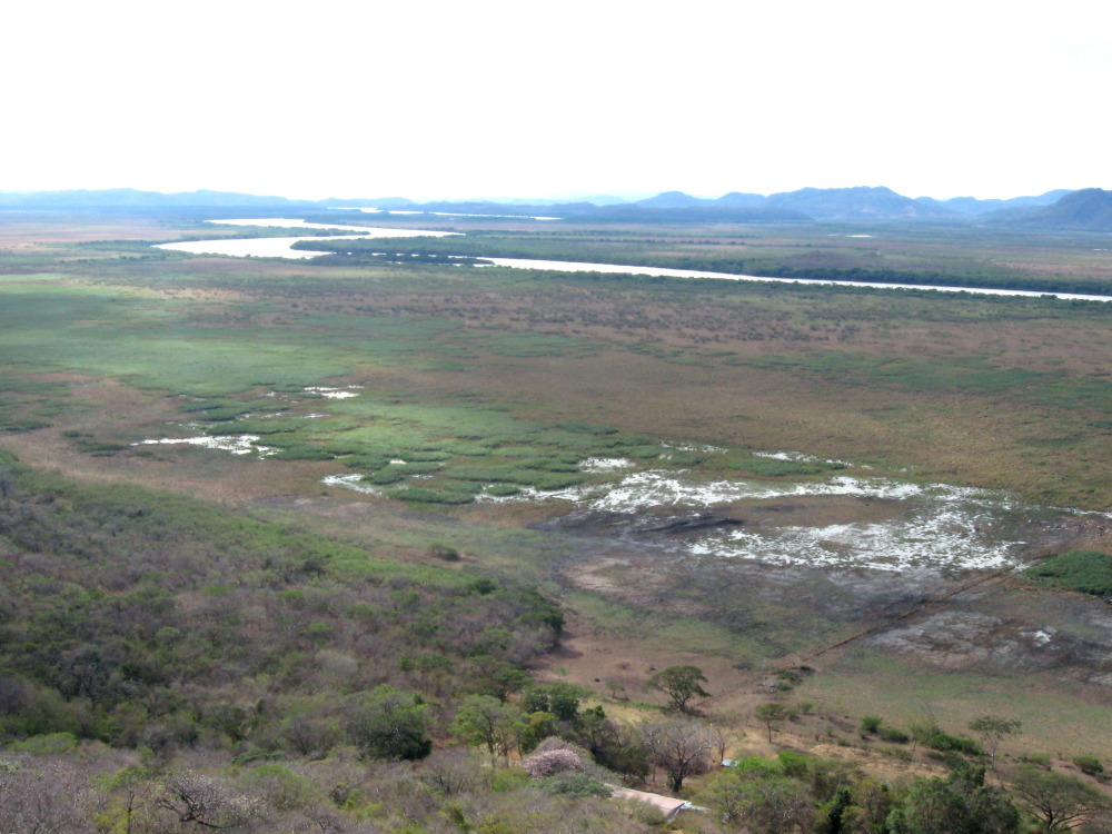 Lokation: Costa Rica | Guanacaste | Palo Verde | Kategorien: Landschaft, Datum: 15.02.2010