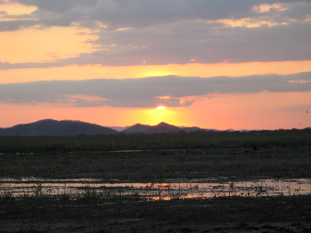 Lokation: Costa Rica | Guanacaste | Palo Verde | Kategorien: Sonnenauf-,untergang, Datum: 15.02.2010