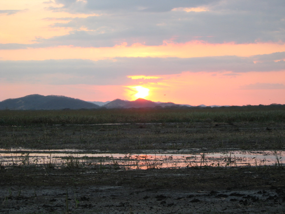 Lokation: Costa Rica | Guanacaste | Palo Verde | Kategorien: Sonnenauf-,untergang, Datum: 15.02.2010