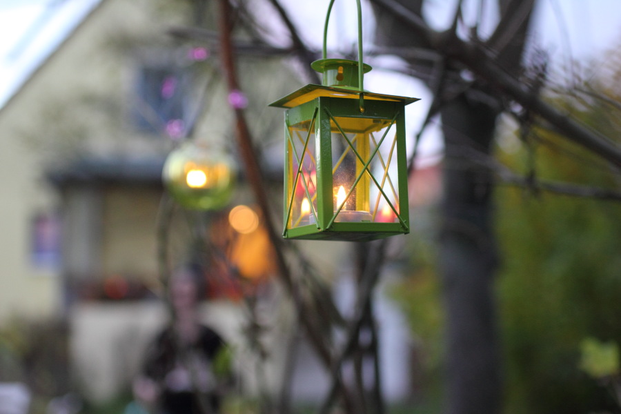 Kategorien: Stilleben, Datum: 30.10.2010