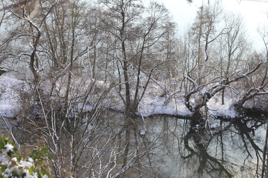 Lokation: Deutschland | Nordrhein-Westfalen | Essen | Oben im Eiberg Kategorien: Winter, Datum: 15.12.2010