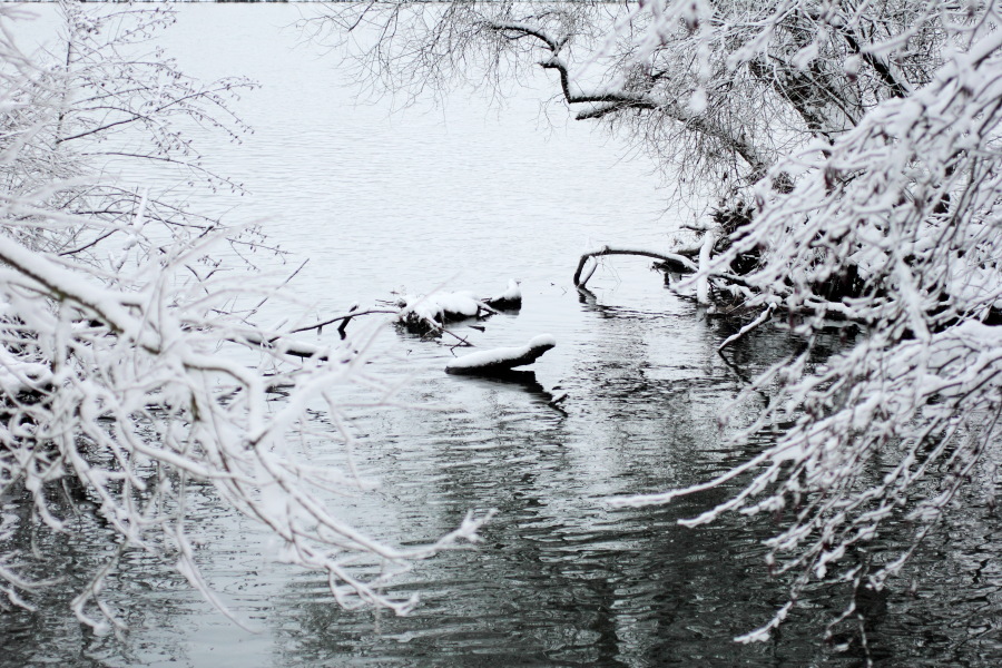 Lokation: Deutschland | Nordrhein-Westfalen | Essen | Oben im Eiberg Kategorien: Winter, Datum: 17.12.2010