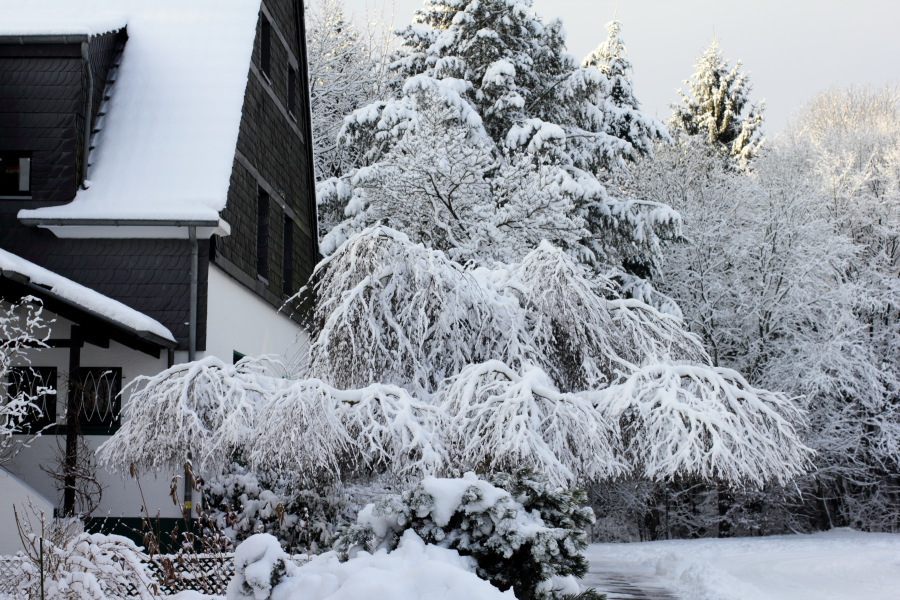 Lokation: Deutschland | Nordrhein-Westfalen | Bergisch Gladbach | Rodemich Kategorien: Winter, Datum: 18.12.2010