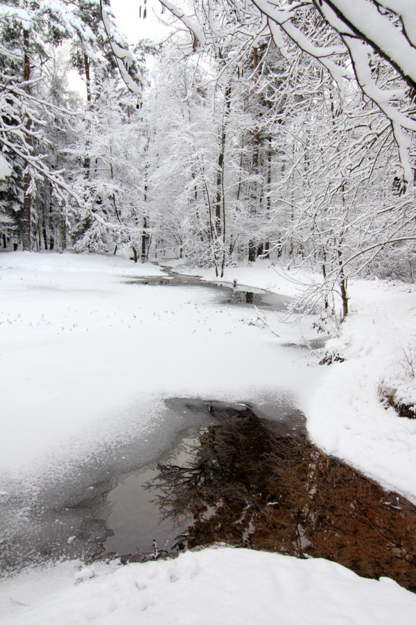 Lokation: Deutschland | Nordrhein-Westfalen | Bergisch Gladbach | Rodemich Kategorien: Winter, Datum: 18.12.2010