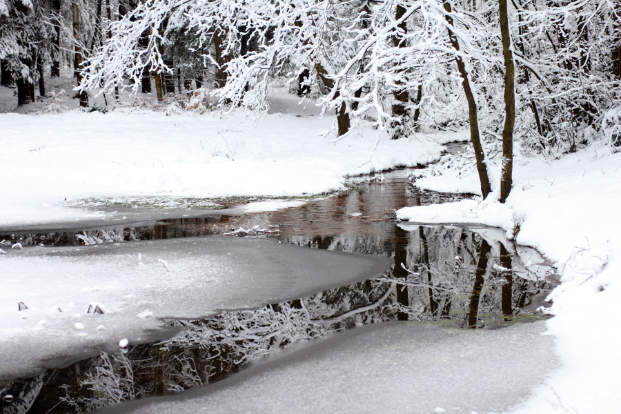 Lokation: Deutschland | Nordrhein-Westfalen | Bergisch Gladbach | Rodemich Kategorien: Winter, Datum: 18.12.2010