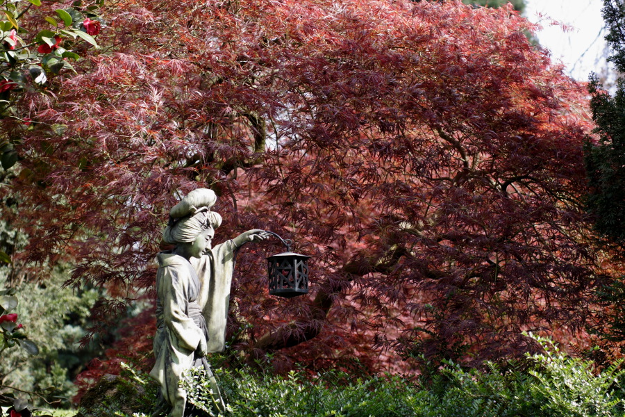 Lokation: Deutschland | Nordrhein-Westfalen | Köln | Flittard Kategorien: Garten, Datum: 24.04.2010
