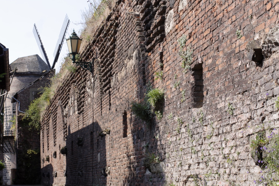 Lokation: Deutschland | Nordrhein-Westfalen | Dormagen | Zons Kategorien: Denkmal, Datum: 27.06.2010