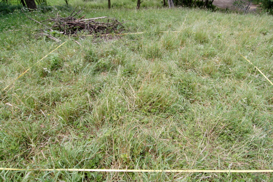 Lokation: Deutschland | Nordrhein-Westfalen | Rösrath | Groß Bliersbach Kategorien: Dauerquadrat, Datum: 04.07.2010